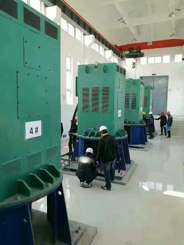 肃州某污水处理厂使用我厂的立式高压电机安装现场现货销售